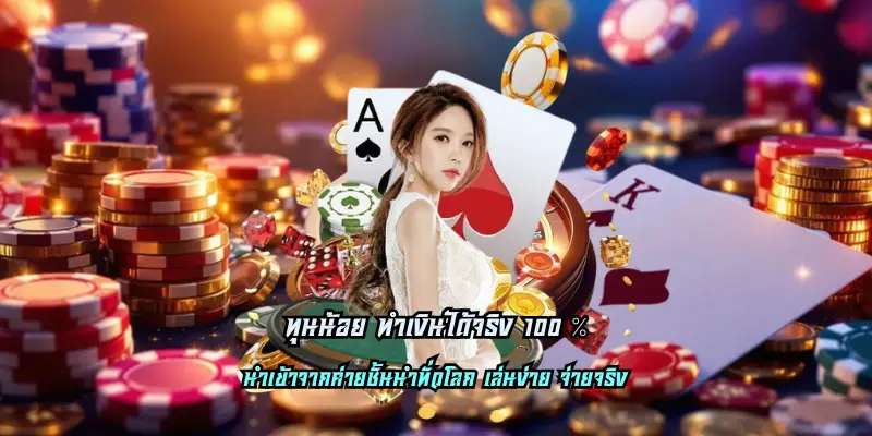 ทุนน้อย ทำเงินได้จริง